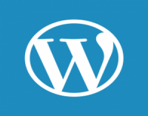 Một số Plugin không thể thiếu trong Wordpress
